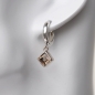 Preview: DIVA Ohrschmuck 3F2104