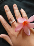 Ring Silber 1T5406